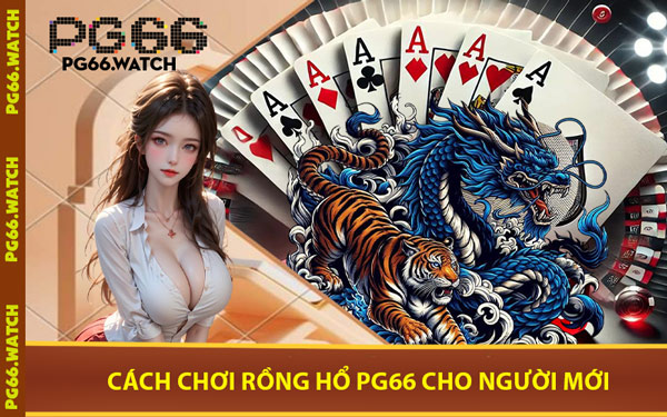 Cách Chơi Rồng Hổ PG66 Cho Người Mới