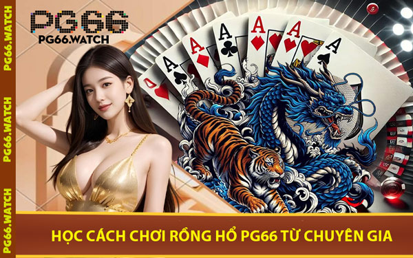 Học Cách Chơi Rồng Hổ PG66 Từ Chuyên Gia