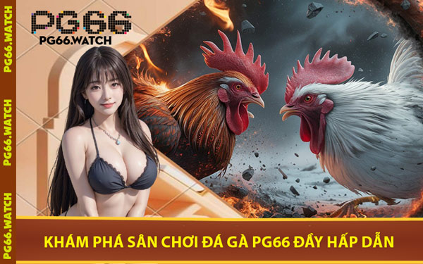 Khám Phá Sân Chơi Đá Gà PG66 Đầy Hấp Dẫn
