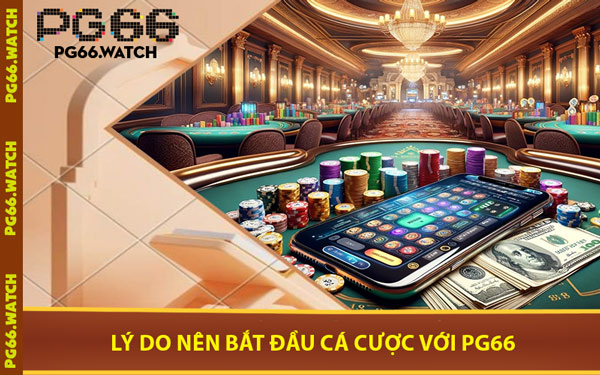 Lý Do Nên Bắt Đầu Cá Cược Với PG66