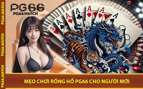 Mẹo Chơi Rồng Hổ PG66 Cho Người Mới