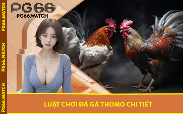 Luật Chơi Đá Gà Thomo Chi Tiết