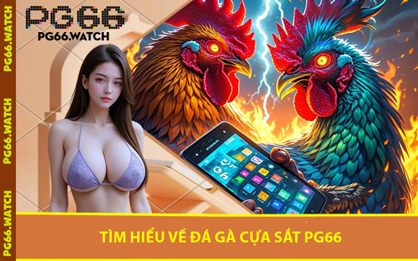 Tìm Hiểu Về Đá Gà Cựa Sắt PG66
