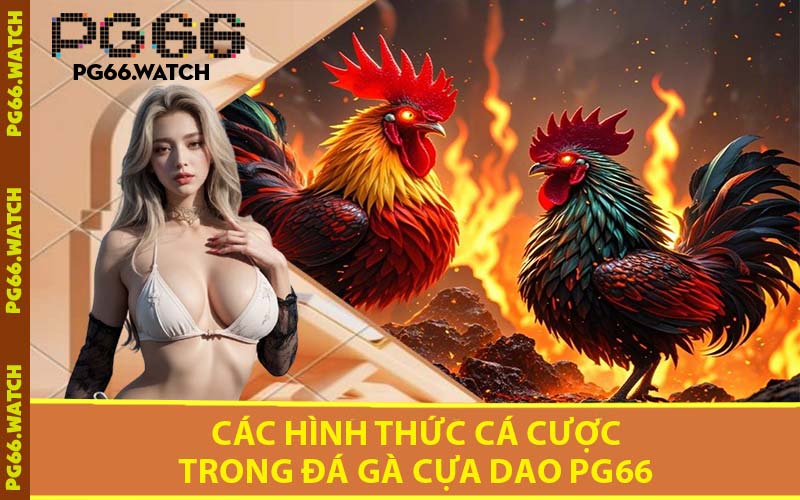 Các Hình Thức Cá Cược Trong Đá Gà Cựa Dao PG66
