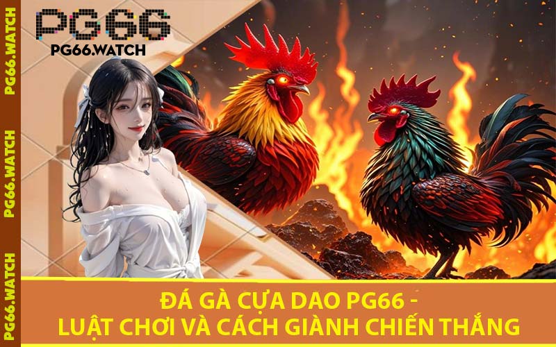 Đá Gà Cựa Dao PG66 - Luật Chơi và Cách Giành Chiến Thắng